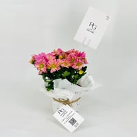 chrysanthemum purple No.9548-480 - Image 1