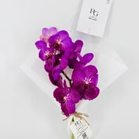 14233 - Image 4