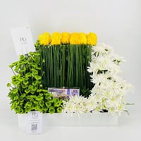 9148 - صورة 1