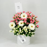 11775 - صورة 2