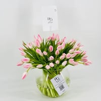 8166-76 - صورة 2