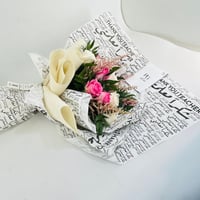 13956 - صورة 1