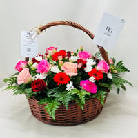 486 - صورة 2