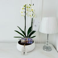 15344 - Image 2