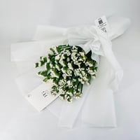 9243 - Image 3