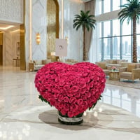 26566 - صورة 1