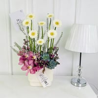 16656 - Image 1