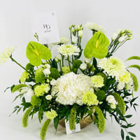 12693-814 - صورة 4