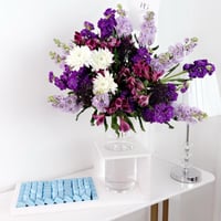 17367 - Image 1