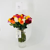 14186 - Image 3