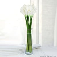 2599-298 - Image 1