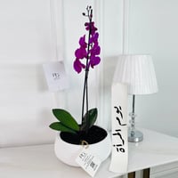 17107 - Image 1