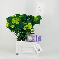 12440 - Image 3