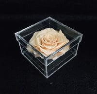 2103-777 - Image 1