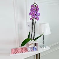 17194 - صورة 1