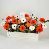 8353-476 - صورة 3