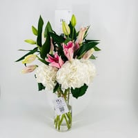 5086-115 - Image 3