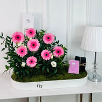 17098 - Image 1