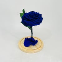 11230 - صورة 3