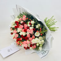 587 - صورة 2