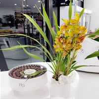 18178 - Image 1