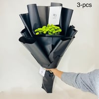 5056 - Image 1
