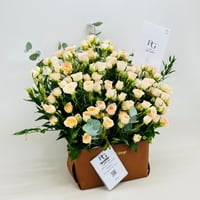 7520-767 - صورة 2