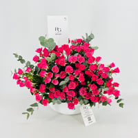 15297 - Image 5