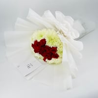 8980N - Image 2