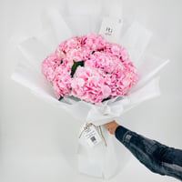 5033 - صورة 1
