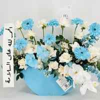 13485 - صورة 5