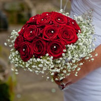 3024-385 - صورة 1