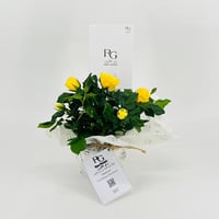 9535-630 - Image 1