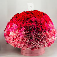 8635-442 - صورة 2