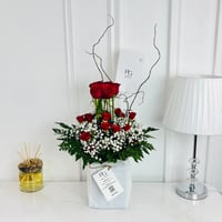 16309 - صورة 1