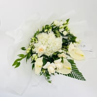 14193 - صورة 1