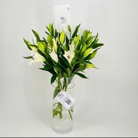 7583-101 - Image 3