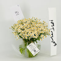 13582 - Image 4