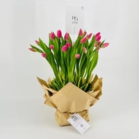 9250-298 - صورة 2
