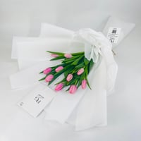 5023 - Image 3
