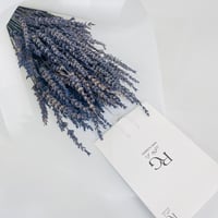 8421 - صورة 4