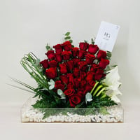 7633-224 - صورة 1