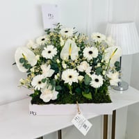 12069-732 - Image 1