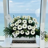 15744 - Image 1