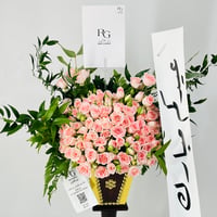 12086 - صورة 4