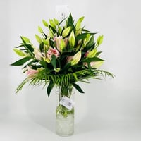 6689-741 - صورة 2