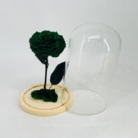 11240 - Image 3