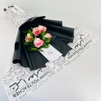 13995 - صورة 1