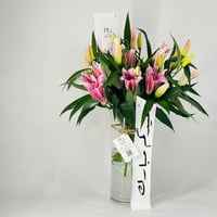 12071 - صورة 2