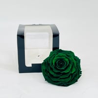 11248 - Image 1